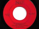 PSYCHE HARD ROCK 45 by THE BILL HAUG GROUP HEAR IT RARE