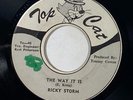 Ricky Storm 