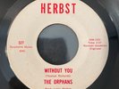 THE ORPHANS “WITHOUT YOU” ** GARAGE GRAIL HERBST** 45