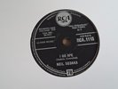 NEIL SEDAKA 