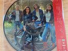 Wolf Alice The Clearing Exclusive Picture Disc  Vinyl Record LP