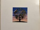 Talk Talk Laughing Stock Vinyl Album LP Original Pressing