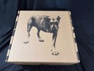 Alice In Chains Tripod 30th Anniversary Box Set  Limited Edition  SEALED
