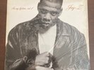 Jay-Z – In My Lifetime, Vol. 1 2XLP (1997) Roc-A-Fella - 314 536 392-1.  EX/VG++
