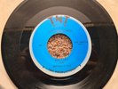 RARE PRIVATE PRESS PSYCH HARD ROCK 45 RPM by SANDLEWOOD ROSE 70s BROWN ACID NM-