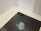 ETERNAL SUNSHINE TOUR EXCLUSIVE LENTICULAR COVER 2LP - Not A Pre-Order