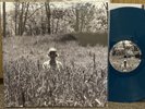 TAYLOR SWIFT Folklore 2x LP Teal In The Woods Limited Edition. EXCELLENT CONDITI
