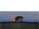 Pat Metheny Bright Size Life (Vinyl) 12