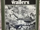 The Wailers “Out Of Our Tree” Vinyl LP 1965 Etiquette Records Mono ETALB 026 Ex