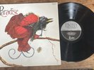 Paradise – Paradise Vinyl LP STUNNING CONDITION LIKE NEW VERY RARE.