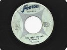 GARAGE ROCKER  45 - the JUJUS -  YOU TREAT ME BAD  - HEAR - 1965 MI. FENTON