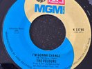 Northern Soul 45 Reissue Velours-I'm Gonna Change-MGM SP