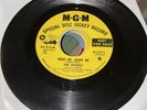 The Models  1967 MGM Sp. DJ Rcrd 45 Rpm K13775 No Sleeve SUPER RARE GRADE GOOD+