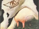 Aerosmith 