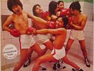 Please - Manila Thriller (LP) (Very Good Plus (VG+)) - 3154553471