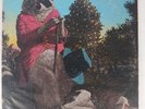 J.J. Cale Naturally Vinyl LP Record Shelter SW-8909 Original 1974