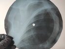 FITZGERALD&ARMSTRONG I'VE GOT M X-Ray USSR Record Roentgen Bone Ribs Music Vinyl