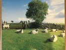 The KLF Chill Out JAMS LP5 1990 12