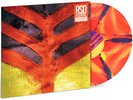 Yeah Yeah Yeahs | Show Your Bones | Vinyl LP - Orange / Yellow /