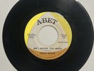 Lucille Mathis I’m Not Your Regular Kind Of Woman Am I Asking Too Much 45 A-Bet