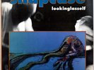SNAPCASE   Lookinglasself   1993 Vinyl LP   Black & Red Label   *No Insert