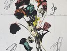 SHINEDOWN Signed Vinyl Shinedown Autographed Album Eight Evergreen Exclusive