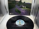 HEAVY METAL KIDS KITSCH LP (1977) UK PRESS VG+ RAK SRAK 523