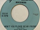 Garage 45 NEW ERA Won't You Please Be My Friend GREAT LAKES Ain't Got Time HEAR