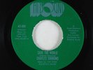 Funk 45 - Charles Simmons - Save The World - Hitsound VG+