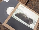 BLACKLISTED When People Grow TEST PRESS Hardcore Punk Vinyl
