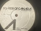 Boards Of Canada : Unreleased Tracks Dj Vinyl Promo Boc  12 Ambient