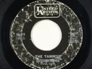 Northern Soul Girl Group 45 - Tammys - Egyptian Shumba - United Artists