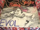 Sonic Youth EVOL 12