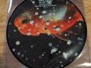 Vince Staples - Big Fish Theory (2xLP,  Picture Disc)