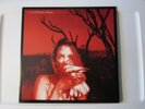 Widespread Panic Everyday Vinyl 2 LP Plastic Removed Unplayed