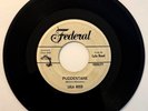 LULA REED Puddentane RARE 1961 R&B 45 DJ Promo Federal HEAR