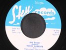 BOBBY ROBERTS: big sandy / she's my woman SKY 7