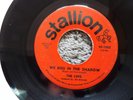 RARE NORTHERN SOUL / DOO-WOP-STALLION 1002-THE LUVS-WE KISS IN THE SHADOW-45