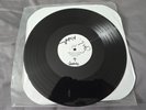THE DOPAMINES EXPECT THE WORST TEST PRESSING BLACK VINYL BOX 11