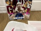 Lady Gaga - ARTPOP - Vinyl LP 602537543052 OG Foil Cover 2013 Do What U Want