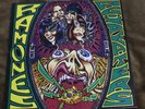 LP RAMONES Acid Eaters 1993 First Pressing Vinyl Insert