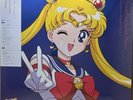 Pretty Guardian Sailor Moon 30th Anniversary Memorial LP Vinyl  SEALED