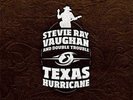 Stevie Ray Vaughan and Double Trouble TEXAS HURRICANE 200g 45rpm 12LP Box Set
