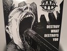 Against All Authority Destroy What Destroys You LP SKA Punk Record Rare
