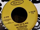 NORTHERN SOUL VIBRATIONS 'CAUSE YOU'RE MINE/FRENCH FRIES DANSE 7