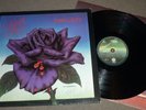 Thin Lizzy - Black Rose - Vertigo 6360169 Germany 1979 1st Press - SIGNED - VG+
