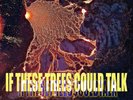 If These Trees Could Talk The Hidden Hand (Vinyl) 12