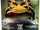Froggie Beaver – 