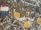 Stone Roses by The Stone Roses (Vinyl, Silvertone)