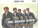 THE BEACH BOYS-PICTURE SLEEVE  45--(TEN LITTLE INDIANS)--PS--PIC-SLV